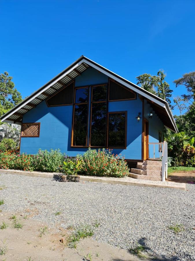 Casa Numu Βίλα Cahuita Εξωτερικό φωτογραφία
